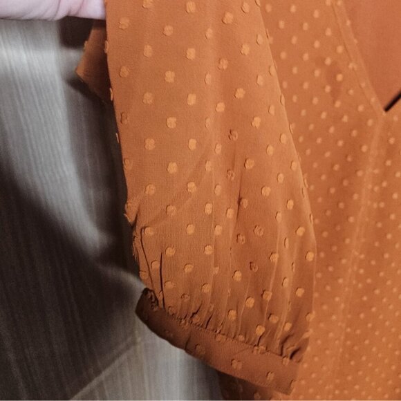 J. Crew Rust Orange Swiss Dot Long Sleeve Blouse Large - Picture 5 of 7